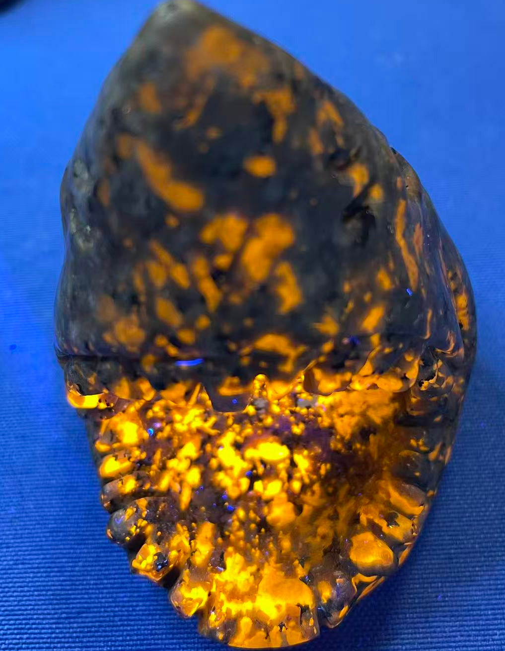 4" Natural Yooperlite Shark Sculpture