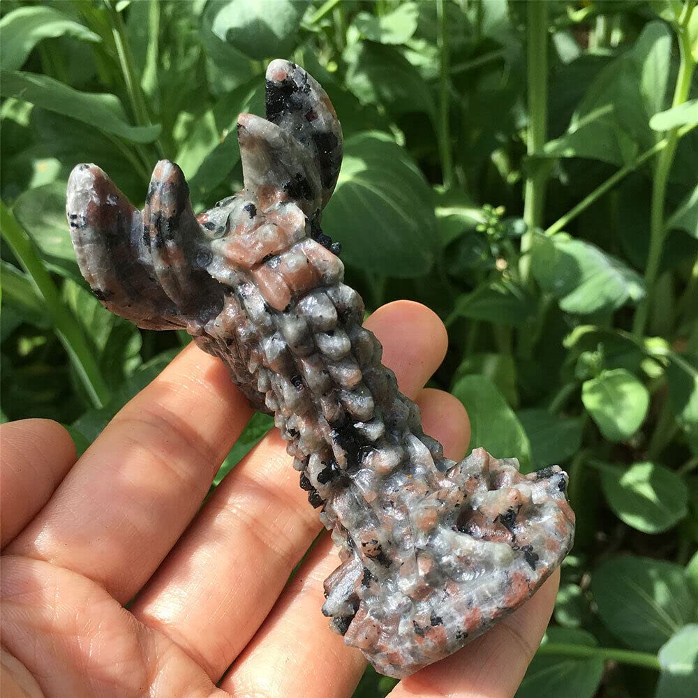 3" Natural Yooperlite Dragon Skull