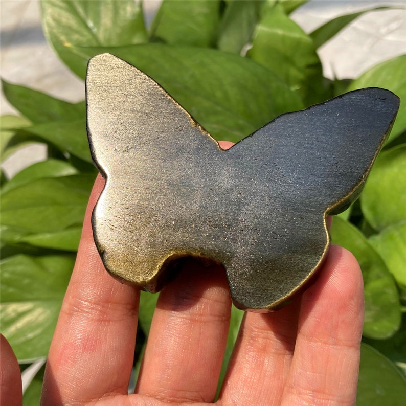 3" Gold Obsidian Butterfly Skull