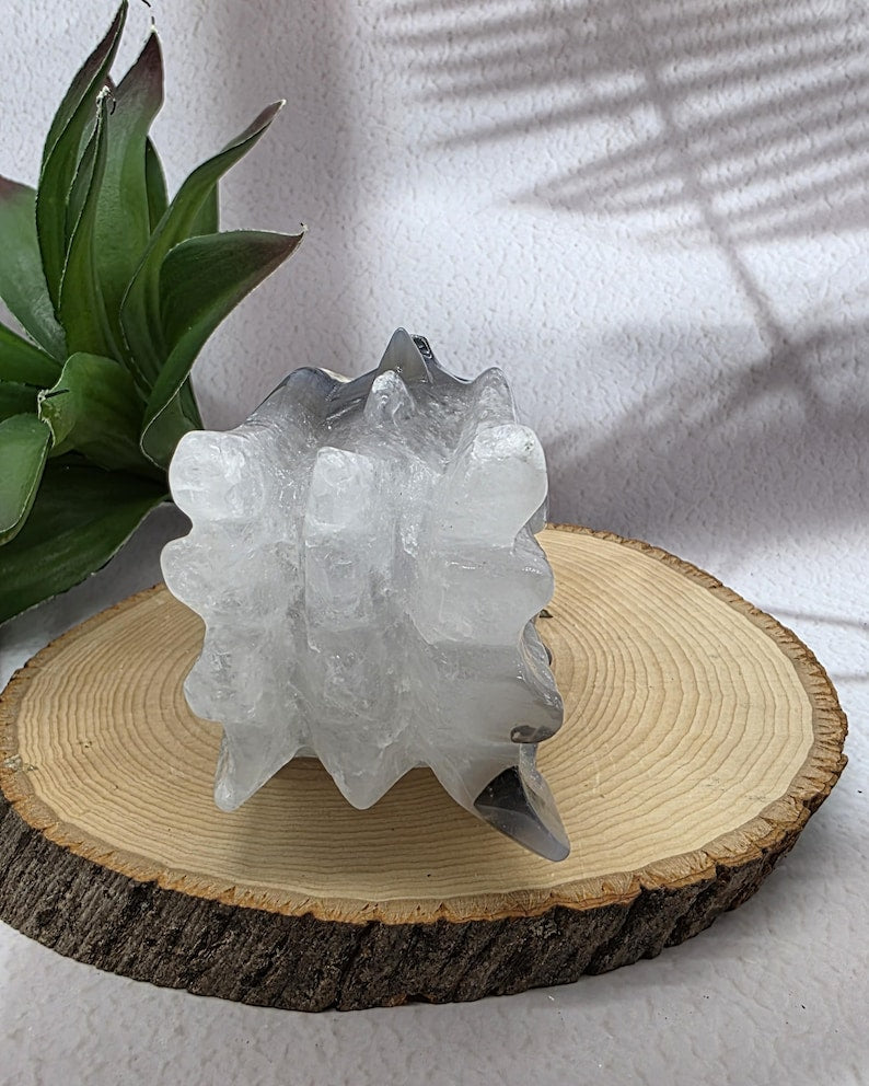 5"Volcano Agate Dragon Skull