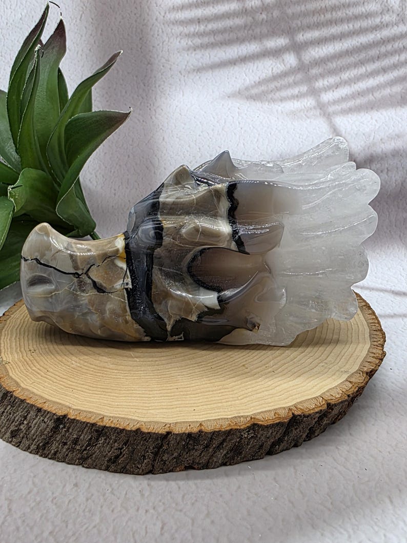 5"Volcano Agate Dragon Skull