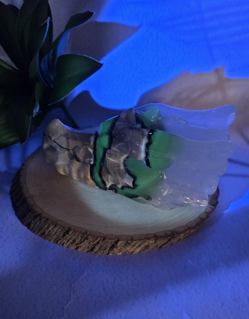 5"Volcano Agate Dragon Skull