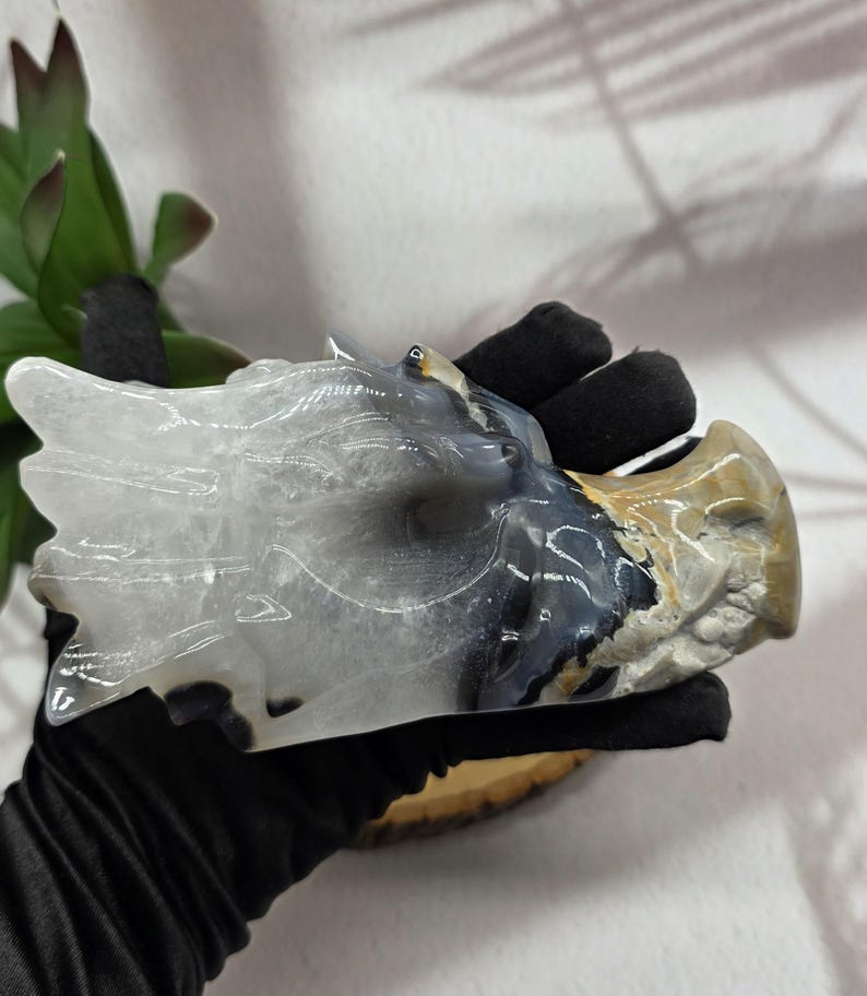 5"Volcano Agate Dragon Skull