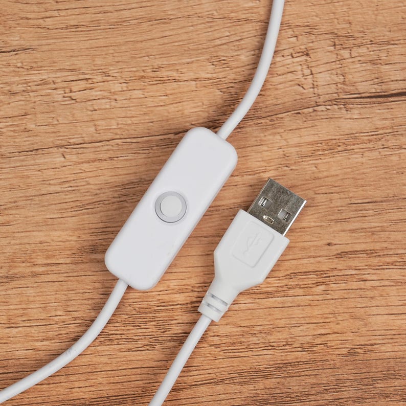 Amethyst Dinosaur Egg Lamp With Stand